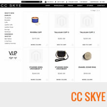 snapshot of CC SKYE website after