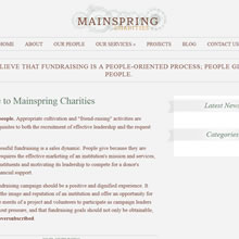 snapshot of CC SKYE website after