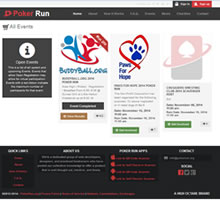 snapshot of CC SKYE website after